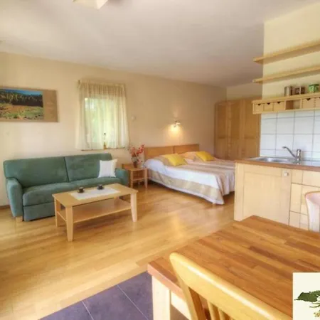 Appartement Posestvo Laz - The Laz Estate *