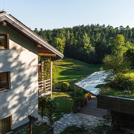 Apartment Posestvo Laz - The Laz Estate Voglarji