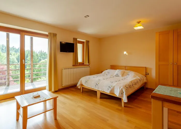 Posestvo Laz - The Laz Estate