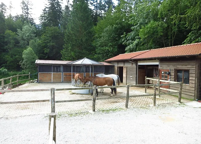 Apartment Posestvo Laz - The Laz Estate